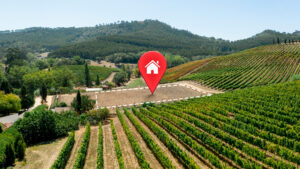 Avaliação de Propriedades Rurais em Portugal